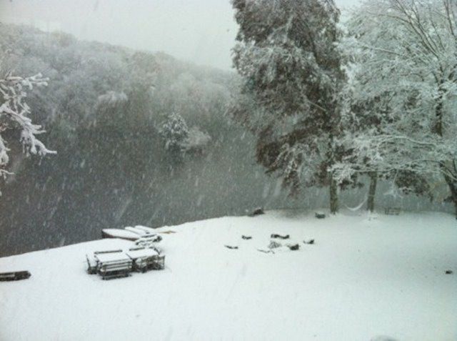 Mia Farrow tweets: "Snow. From our upstairs window."